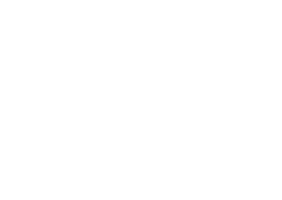 logo domus praetoria